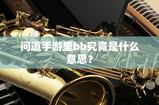 问道手游里bb究竟是什么意思？