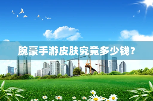腕豪手游皮肤究竟多少钱？