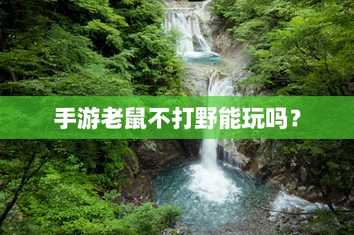 手游老鼠不打野能玩吗？