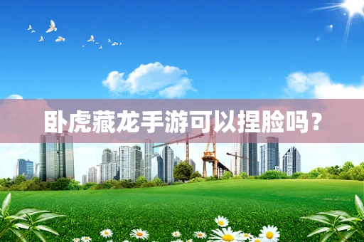 卧虎藏龙手游可以捏脸吗？