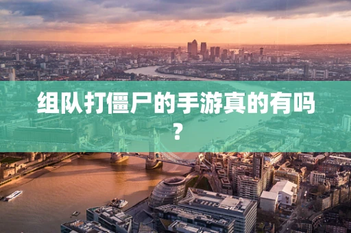 组队打僵尸的手游真的有吗？