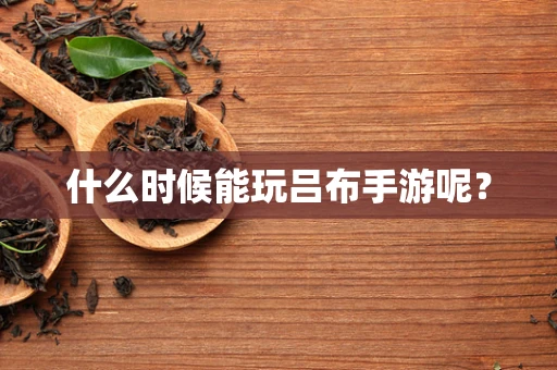 什么时候能玩吕布手游呢？