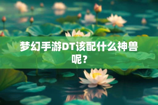 梦幻手游DT该配什么神兽呢？