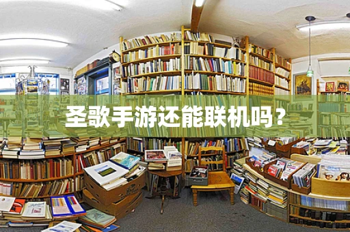 圣歌手游还能联机吗？