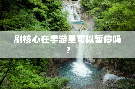 刷核心在手游里可以暂停吗？