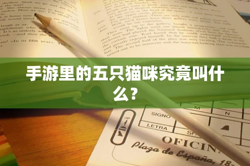 手游里的五只猫咪究竟叫什么？