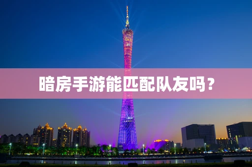 暗房手游能匹配队友吗？
