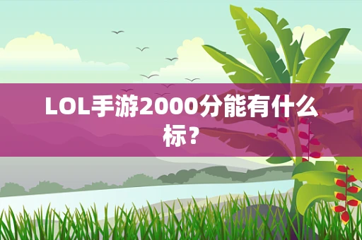 LOL手游2000分能有什么标？