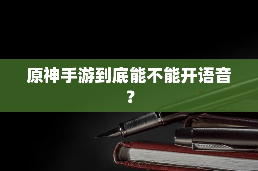 原神手游到底能不能开语音？