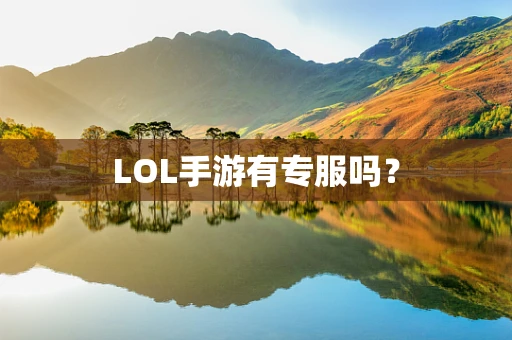 LOL手游有专服吗？
