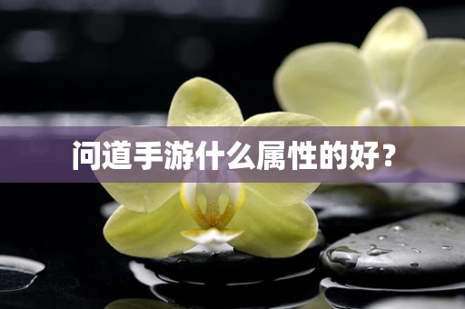 问道手游什么属性的好？