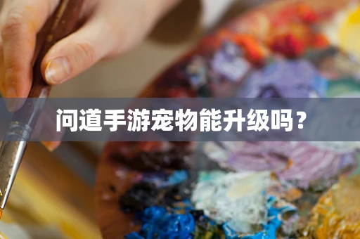 问道手游宠物能升级吗？