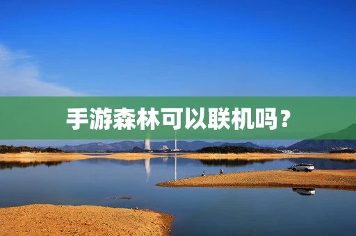 手游森林可以联机吗？