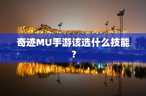 奇迹MU手游该选什么技能？