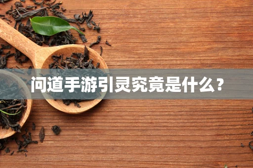 问道手游引灵究竟是什么？