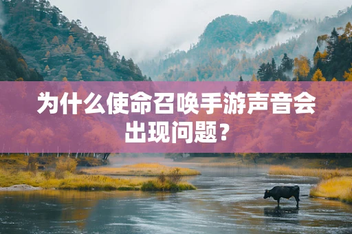 为什么使命召唤手游声音会出现问题？