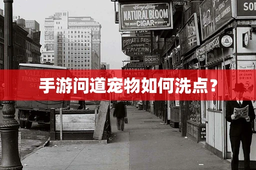 手游问道宠物如何洗点？