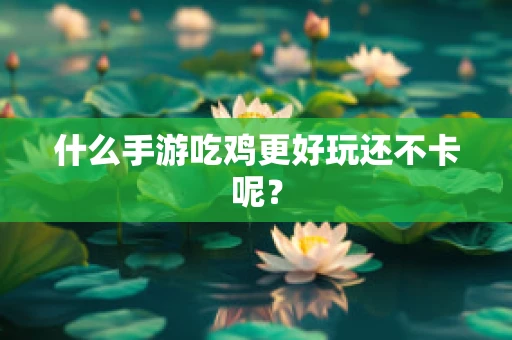 什么手游吃鸡更好玩还不卡呢？