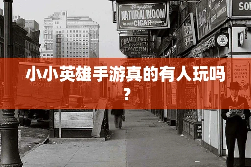 小小英雄手游真的有人玩吗？