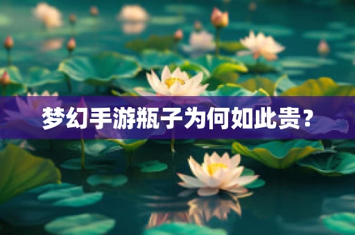 梦幻手游瓶子为何如此贵？