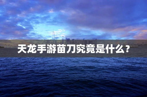天龙手游苗刀究竟是什么？