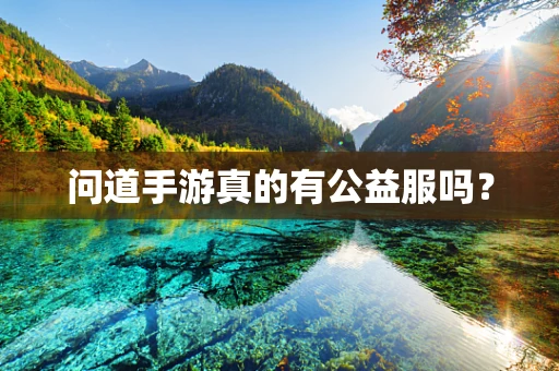 问道手游真的有公益服吗？