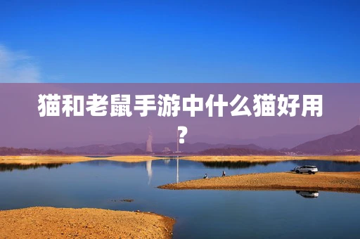 猫和老鼠手游中什么猫好用？