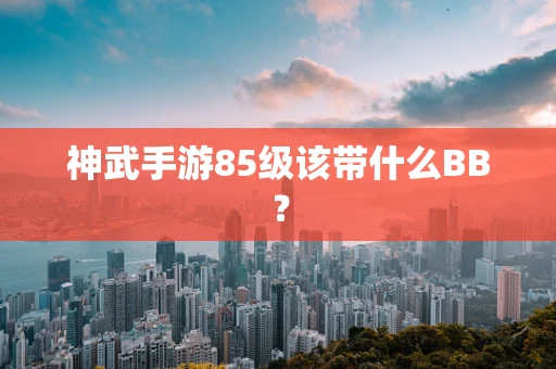 神武手游85级该带什么BB？