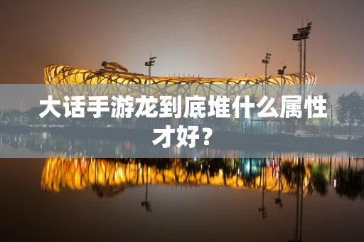 大话手游龙到底堆什么属性才好？