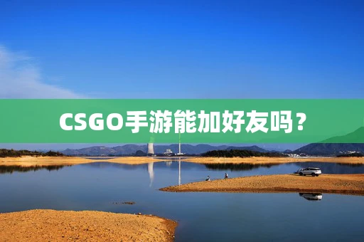 CSGO手游能加好友吗？