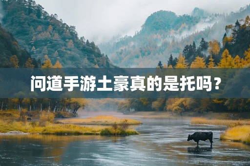 问道手游土豪真的是托吗？