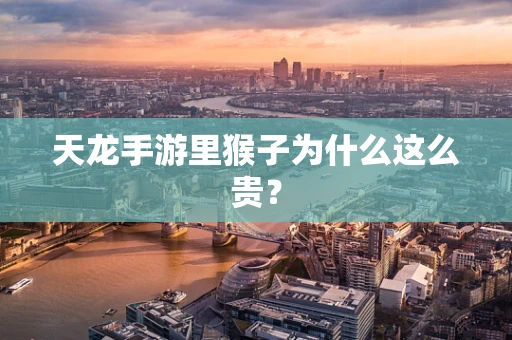 天龙手游里猴子为什么这么贵？