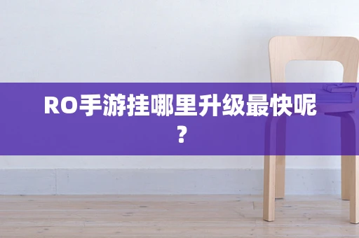 RO手游挂哪里升级最快呢？