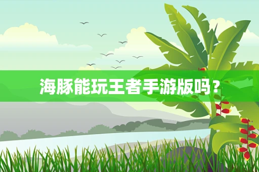 海豚能玩王者手游版吗？