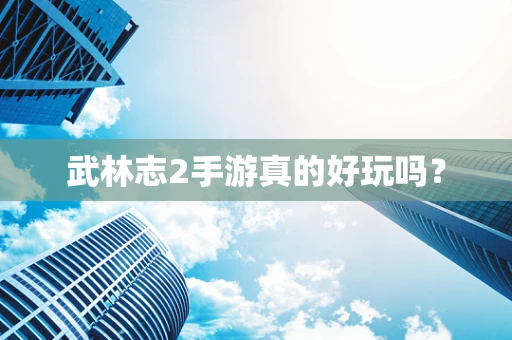 武林志2手游真的好玩吗？