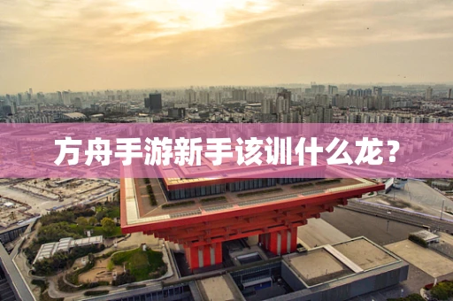 方舟手游新手该训什么龙？