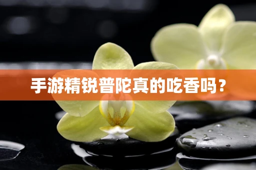 手游精锐普陀真的吃香吗？