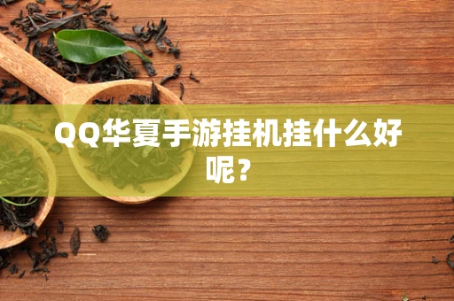 QQ华夏手游挂机挂什么好呢？