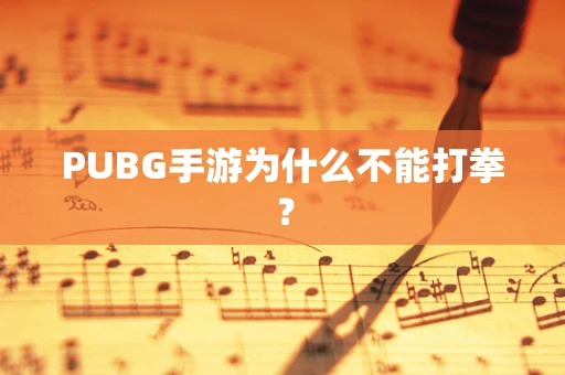 PUBG手游为什么不能打拳？