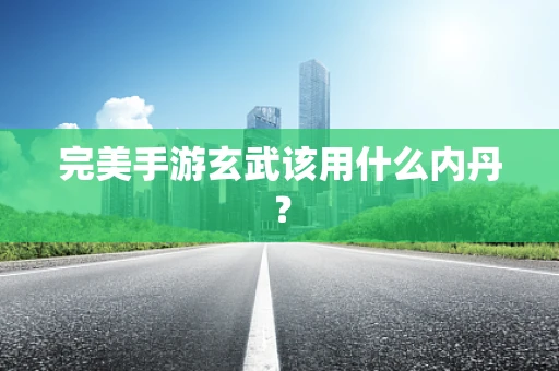 完美手游玄武该用什么内丹？