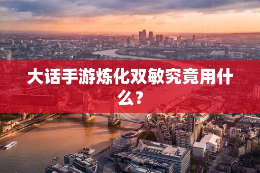 大话手游炼化双敏究竟用什么？