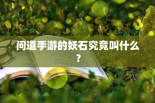 问道手游的妖石究竟叫什么？