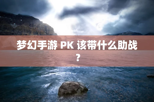 梦幻手游 PK 该带什么助战？