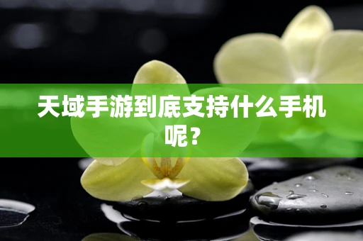 天域手游到底支持什么手机呢？