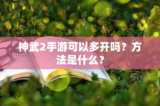 神武2手游可以多开吗？方法是什么？