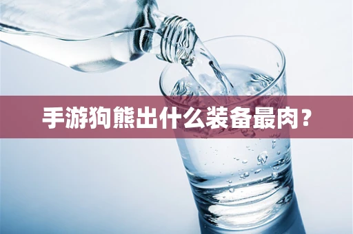 手游狗熊出什么装备最肉？